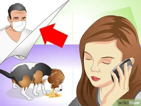 Image titled Cure a Dog's Stomach Ache Step 7