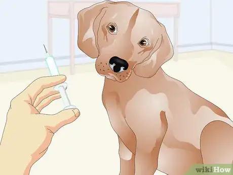 Image titled Administer Shots to Dogs Step 2