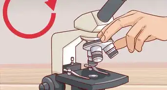 Focus a Microscope