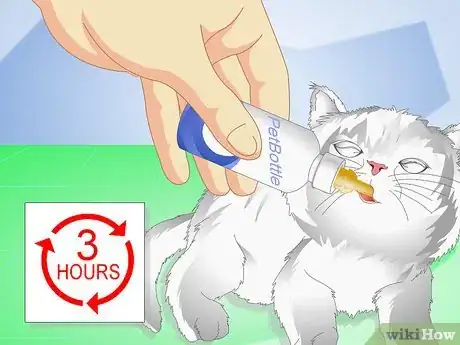 Image titled Get Your Kitten to Eat Step 7