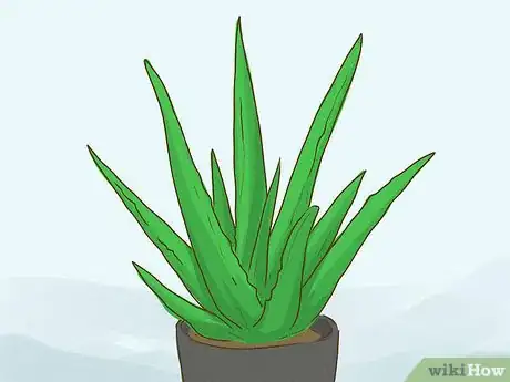 Image titled Treat a Sore Throat With Aloe Step 9