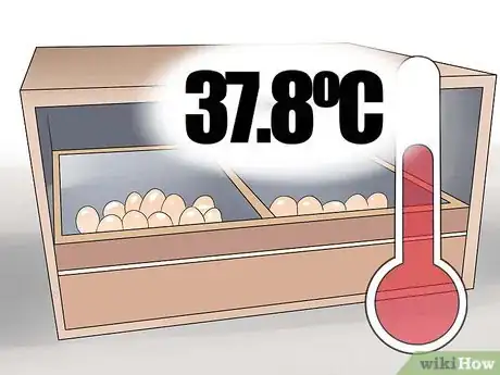 Image titled Breed and Incubate Pheasants Step 12