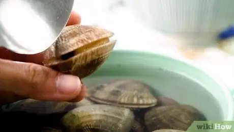 Image titled Boil Clams Step 1