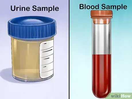 Image titled Diagnose and Treat Seborrhea in Cats Step 8