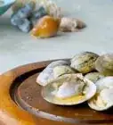 Shuck Clams