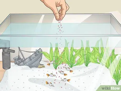 Image titled Clean a Planted Fish Tank Step 14