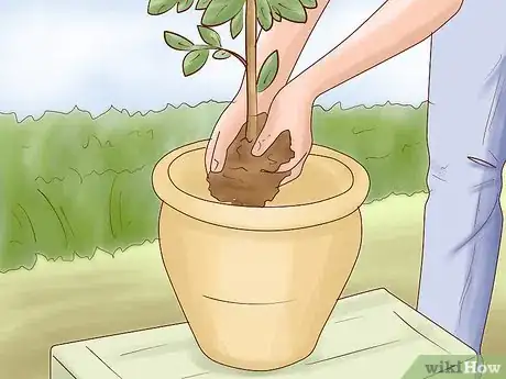 Image titled Arrange Flower Pots Step 10