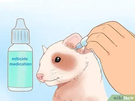 Image titled Clean a Ferret's Ears Step 10