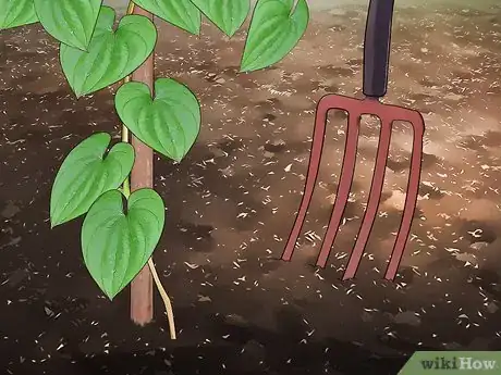 Image titled Grow Yams Step 13