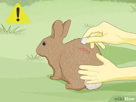 Image titled Care for an Injured Rabbit Step 11