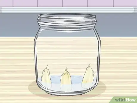 Image titled Grow Garlic in Water Step 3