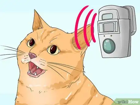 Image titled Stop Cats From Using Your Yard As a Litterbox Step 10