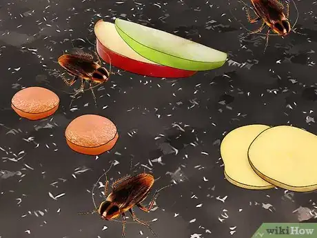 Image titled Attract Cockroaches Step 12