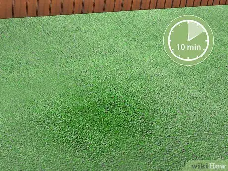 Image titled Clean Dog Urine Out of Artificial Grass Step 6