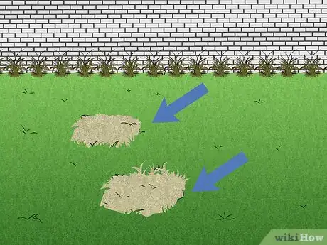 Image titled Repair Spots from Pet Urine in Lawn Grass Step 1