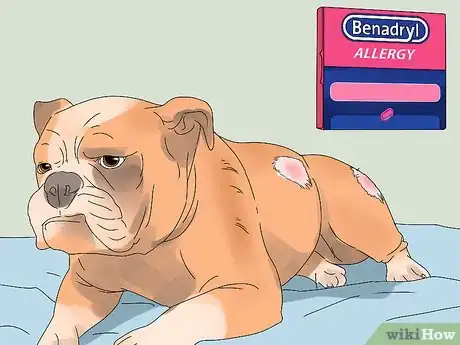 Image titled Give a Dog Benadryl Step 7