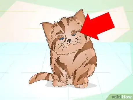 Image titled Get a Sick Kitten to Eat Step 13