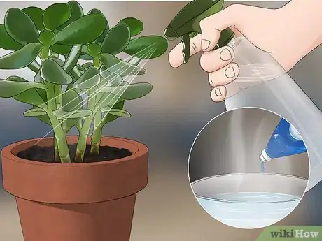 Image titled Get Rid of Gnats Step 13