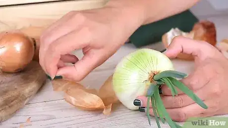 Image titled Plant Sprouted Onions Step 1