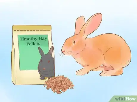 Image titled Feed Your Rabbit with Pellets Step 2