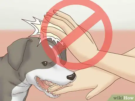 Image titled Get Your Dog to Stop Play Biting Step 6