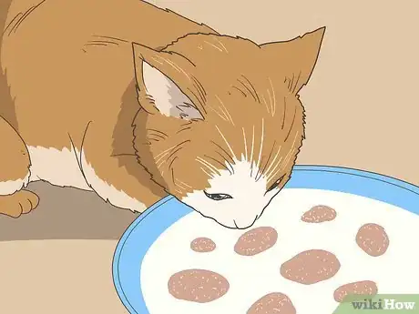 Image titled Make Kitten Formula Step 15