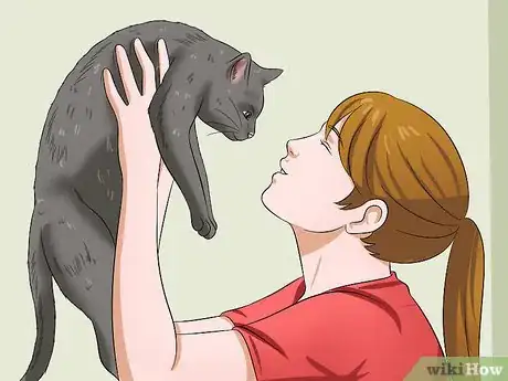 Image titled Make Your Cat Love You Step 4