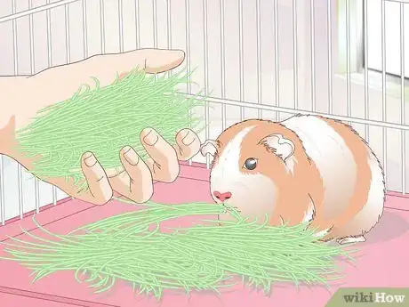 Image titled Make Guinea Pig Food Step 9