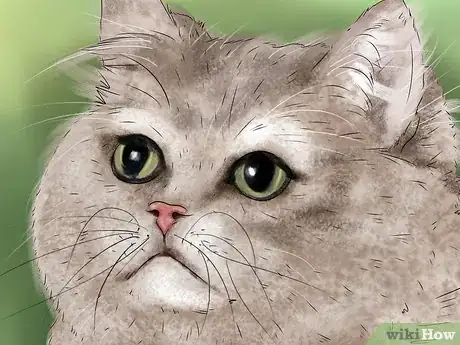 Image titled Help a Cat Recover from Anesthesia Step 9