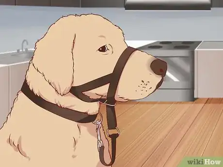 Image titled Stop a Dog from Pulling on Its Leash Step 10