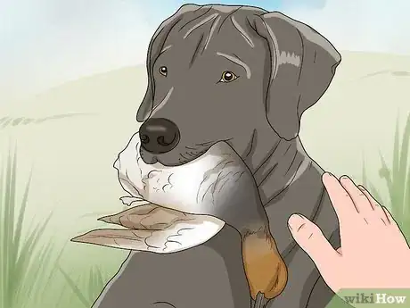 Image titled Start Duck Hunting Step 15