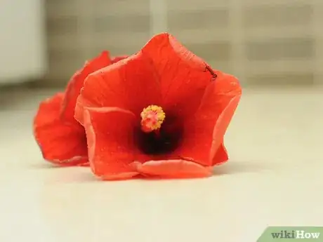 Image titled Make Shampoo With Hibiscus Flowers and Leaves Step 1