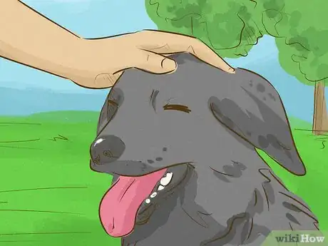 Image titled Look Friendly to Dogs Step 5