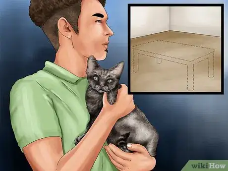 Image titled Help a Cat Recover from Anesthesia Step 3