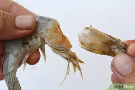 Image titled Freeze Shrimp Step 6