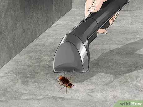 Image titled Kill Household Bugs Step 6