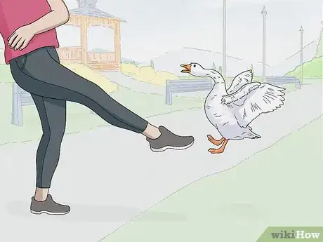 Image titled Stop a Goose Attack Step 6