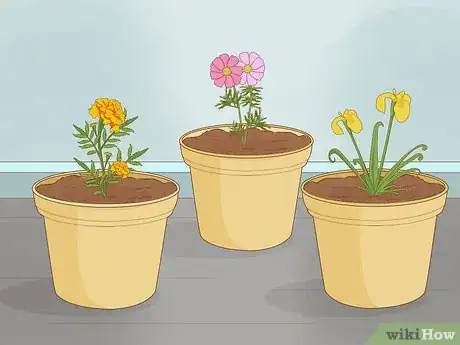 Image titled Grow Plants Faster Step 11