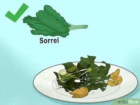 Image titled Cook with Sorrel Step 18