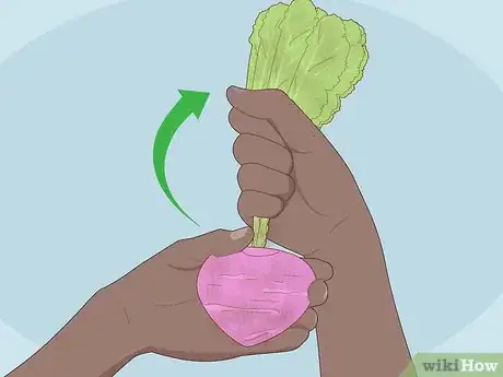 Image titled Store Turnips Step 1