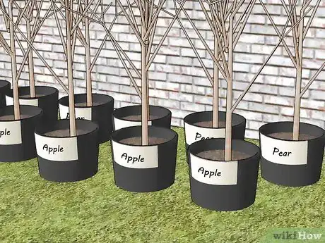 Image titled Plant Fruit Trees Step 1