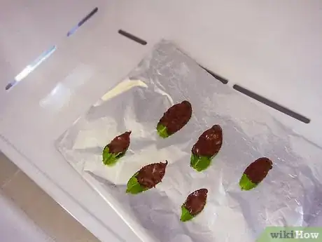 Image titled Make Chocolate Leaves Step 17