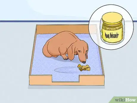 Image titled Care for Newborn Puppies Step 9