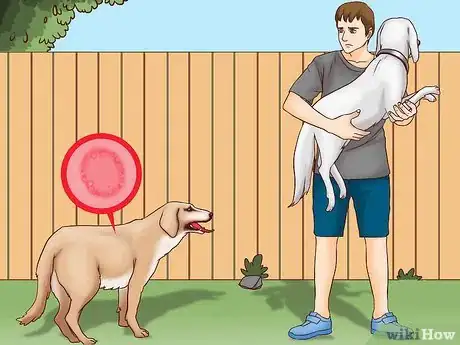 Image titled Prevent Ringworm in Dogs Step 1