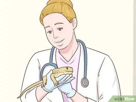 Image titled Care for Bearded Dragons Step 5