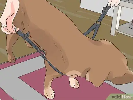 Image titled Stop a Dog Barking at Other Dogs Step 6