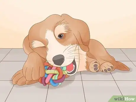 Image titled Stop a Dog from Chewing Its Paws Step 2