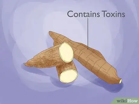 Image titled Cassava vs Yucca Step 8