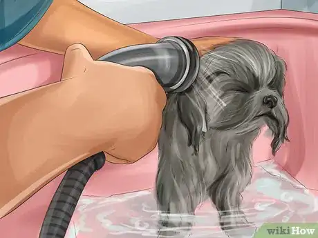 Image titled Puppy Cut a Shih Tzu Step 3