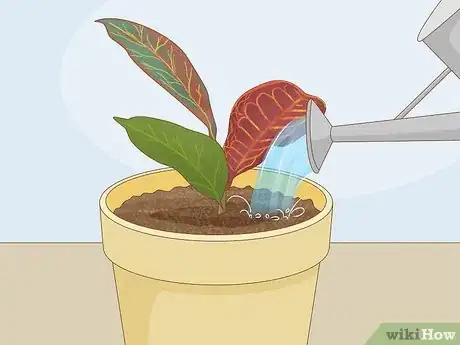 Image titled Prune Croton Plants Step 12